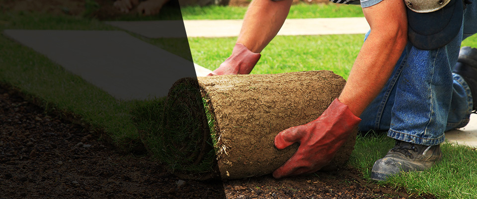 Fountainville Landscapers